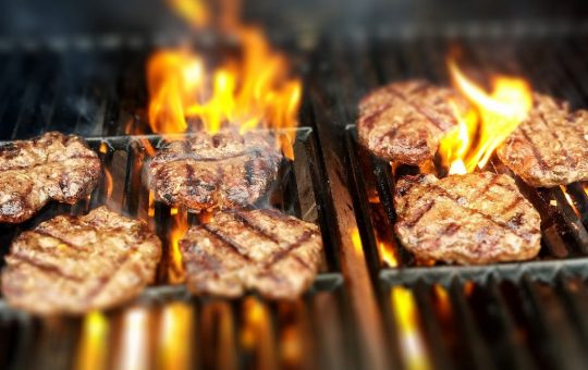 Quels sont les critères de choix pour un barbecue électrique ?