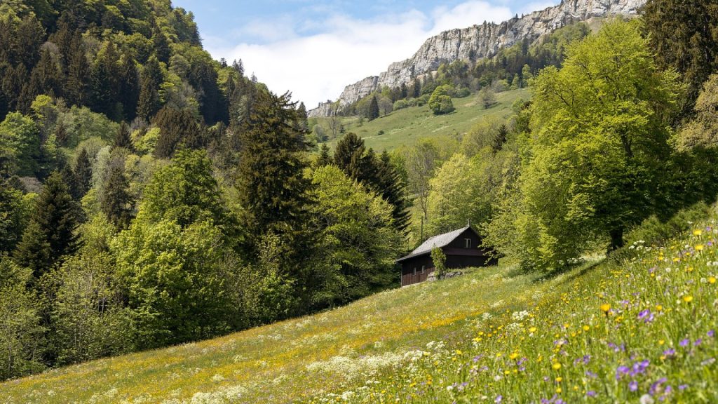 Découvrez les merveilles du Jura : sites incontournables et activités à ne pas manquer