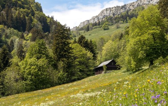 Découvrez les merveilles du Jura : sites incontournables et activités à ne pas manquer