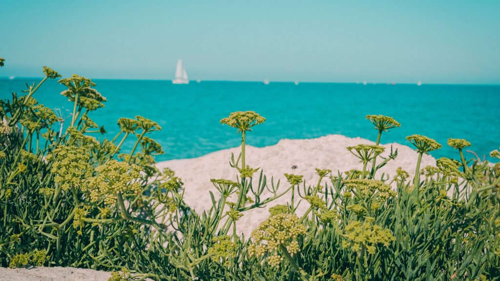 Réservez un séjour exceptionnel en bord de mer cet été