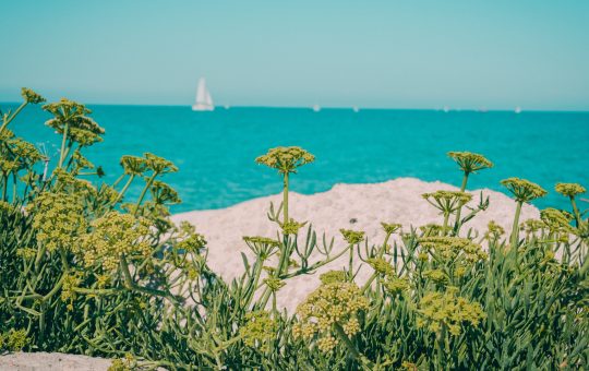 Réservez un séjour exceptionnel en bord de mer cet été