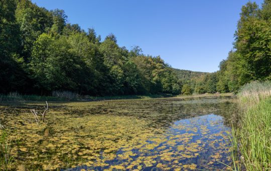 Séjour inoubliable à la découverte de la nature dans un gîte de La Brenne